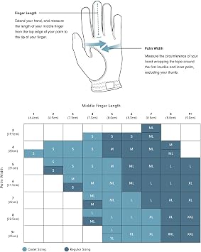 FootJoy Men's WeatherSof Prior Generation Golf Glove