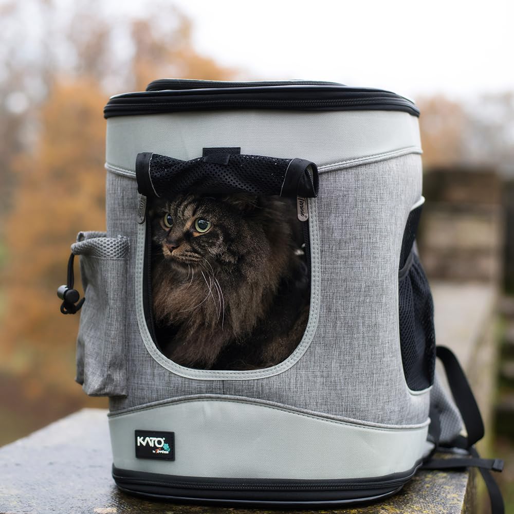 Katzenrucksack Hunderucksack bis 6.8KG, Faltbare Haustier Tragetasche mit Innerer Sicherheitsleine und Matte für Katzen und Hunde, Grau