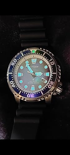 Amazon.co.jp: CITIZEN BN0166-01L PROMASTER Eco-Drive Men's Watch