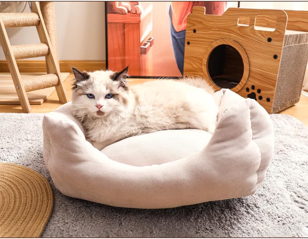 review Hershii Rectangle Cat Bed Washable Small Dogs Puppies Kittens Pet Sofa Beds Sleeping Warming and Non-Slip Bottom - Beige