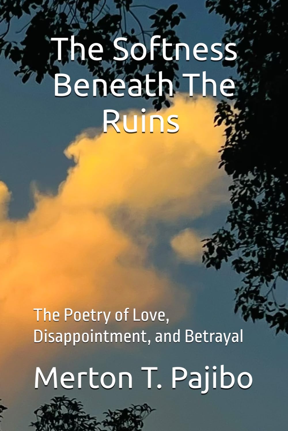 The Softness Beneath The Ruins: The Poetry of Love, Disappointment, and Betrayal
