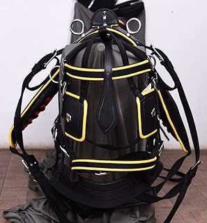 Aces Equine Arnés de nailon para caballos de caballo, color negro y amarillo, tamaño completo