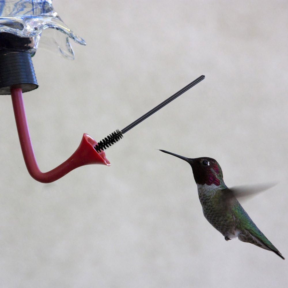 Caydo 12 Pieces Hummingbird Feeder Parts Brush Mini Nylon Cleaning Brushes Set : Patio, Lawn & Garden