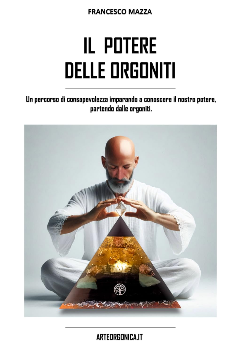 IL POTERE DELLE ORGONITI: Un percorso di consapevolezza imparando a conoscere il nostro potere, partendo dalle orgoniti.