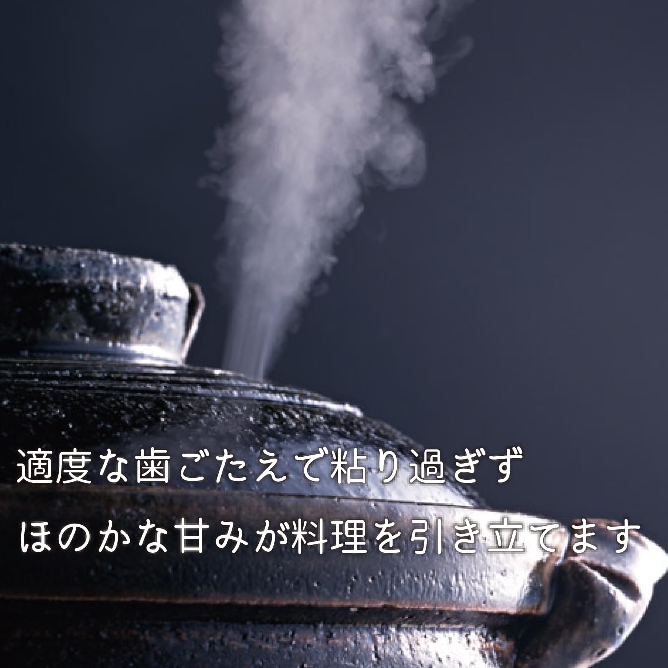 Amazon.co.jp: 【精米】 新潟ケンベイ 新潟県産ゆきん子舞 5kg 令和7