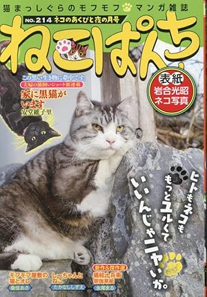 キジトラ猫の小梅さん 26 (26巻) (ねこぱんちコミックス