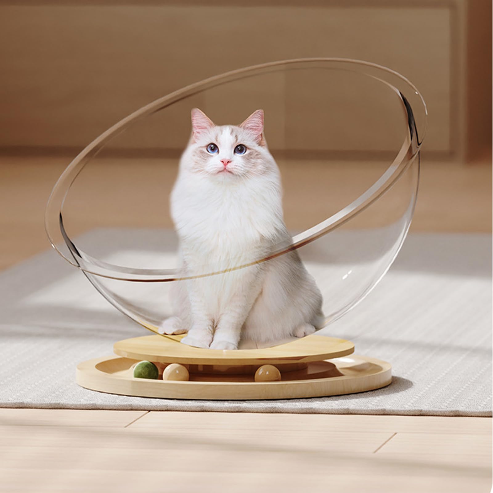 Gatos juguete durabilidad juego universal espacio cabaña cama para felinos activos transparentes