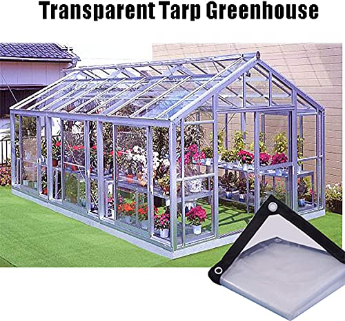 Lona transparente resistente 1x1m impermeable con ojales para lluvia 3