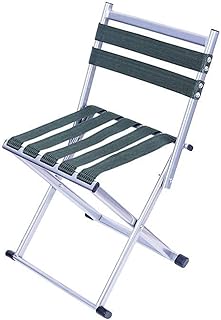 dinglihuaqu Plegable Camping Patio Barbacoa Waterpr Luz Presidente Espesar Respaldo abatible for Adultos al Aire Libre Silla Pony Pesca heces Pequeño Asiento Banco Pesca (Color : Green)
