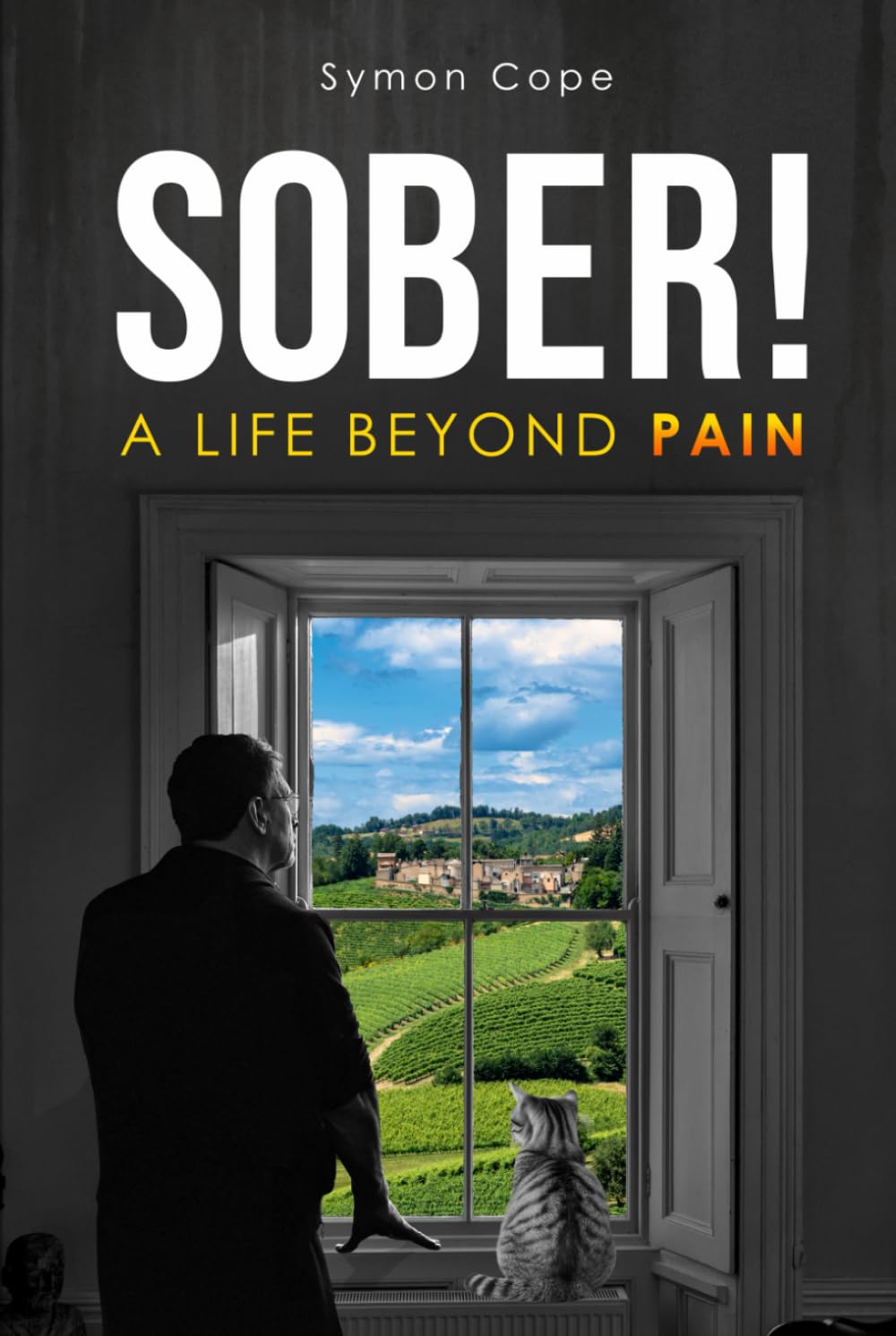 Sober!: A Life Beyond Pain (THE ADDICTIONARY – Recovering the Meaning of Life)