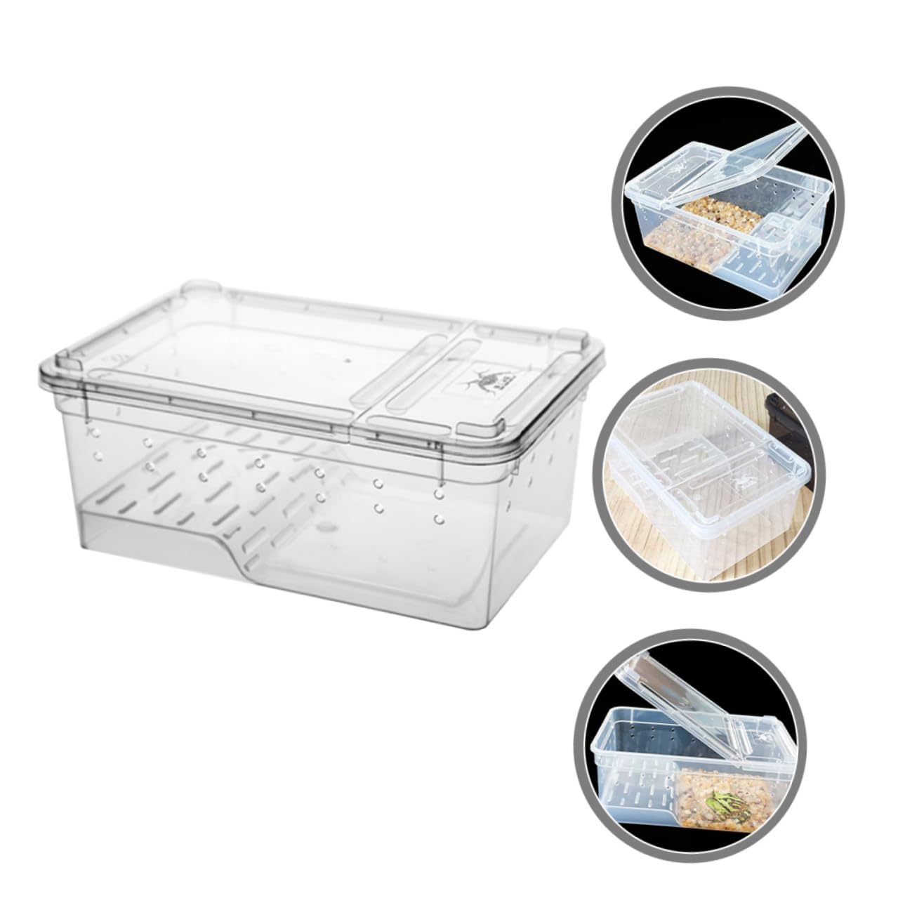 Homoyoyo Acquaterrario per Tartarughe per Rettili e Tartarughe e Pendenza Adatta Facile Osservazione in Plastica con Piattaforma, Area di Riposo e Alimentazione
