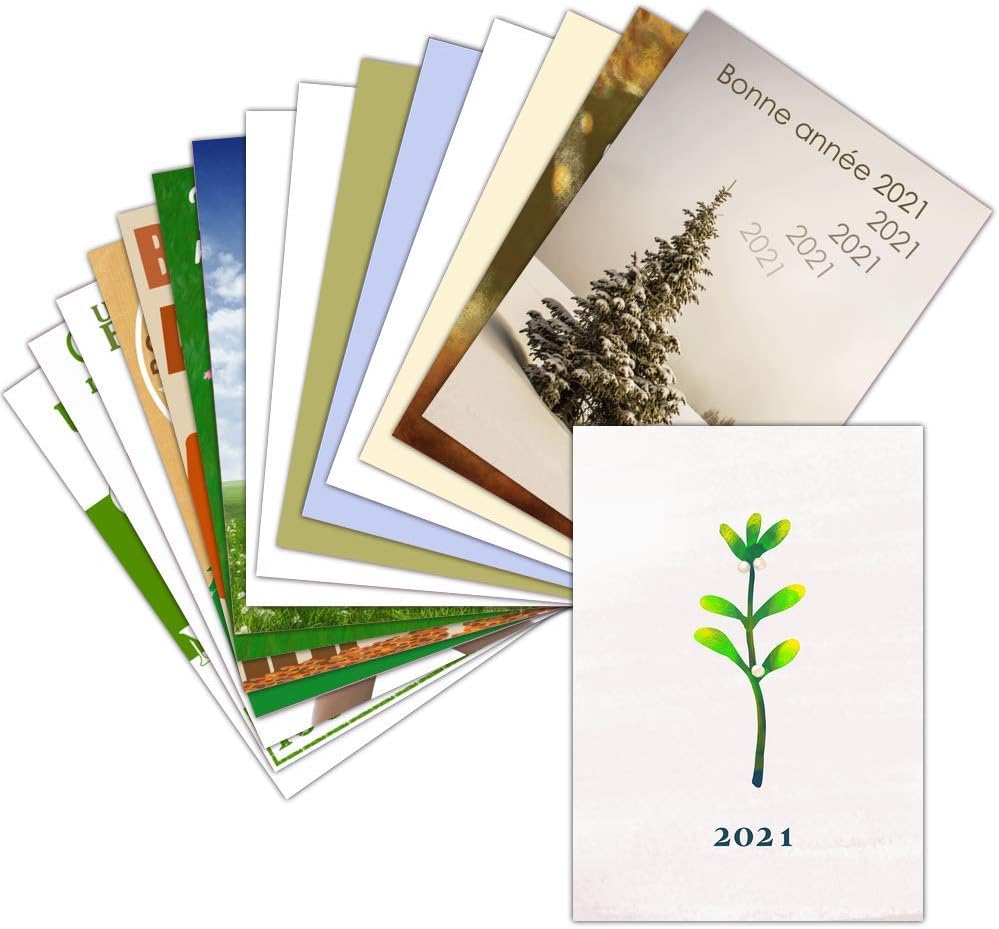 Carte De Voeux Nature 21 Lot De 16 Cartes Differentes Format Carte Pliee 3 Formats Dispos Naturelle Carte De Voeux Nature 21 Amazon Fr Fournitures De Bureau