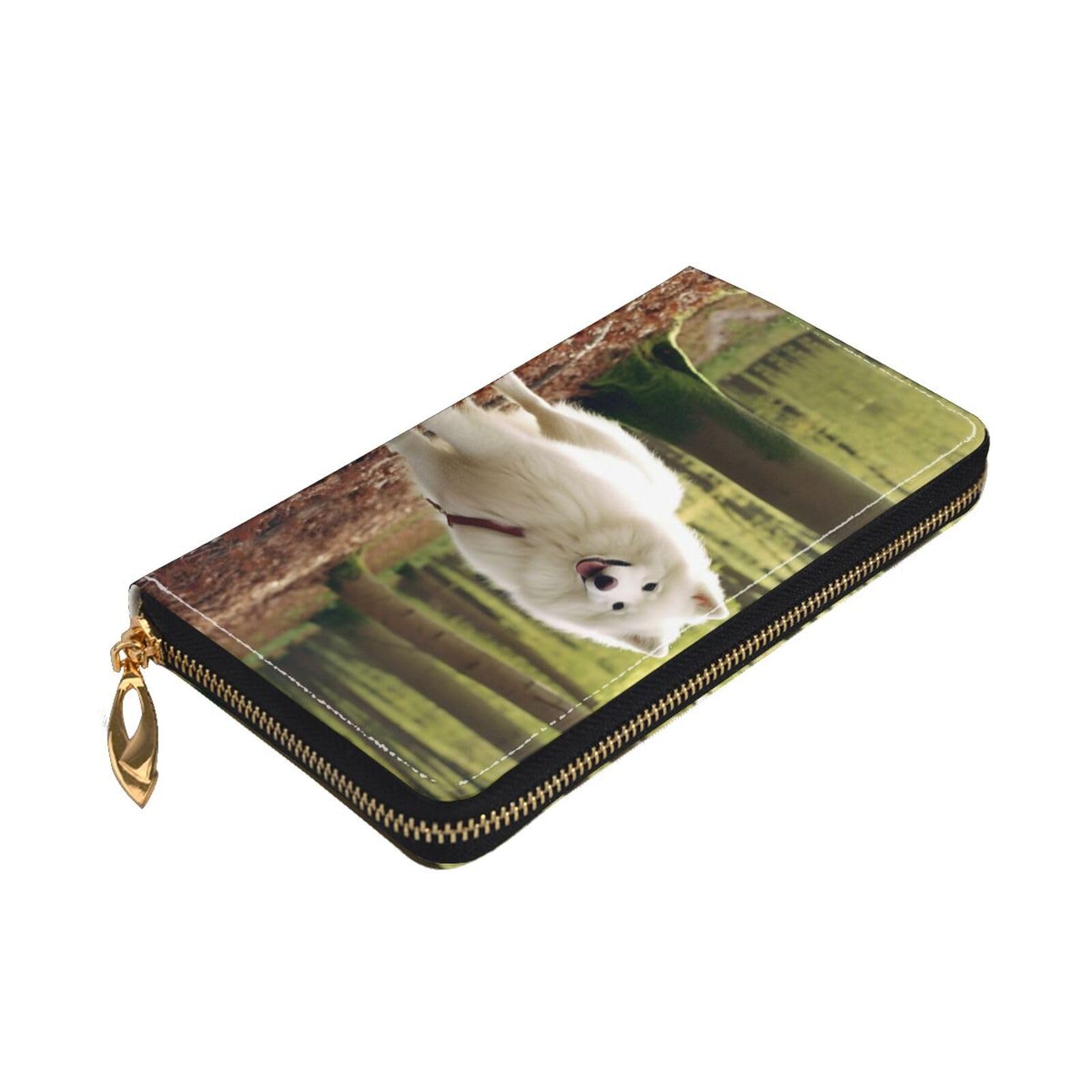 Cartera larga y grande de cuero con cremallera, patrón de esquema de color