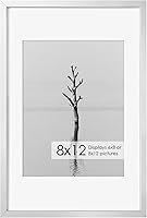 Vista 500 de Fun Memories Portarretratos de metal de 16 x 20 pulgadas con paspartú de 11 x 14 pulgadas, acabado de aluminio cepillado, parte delantera de vidrio