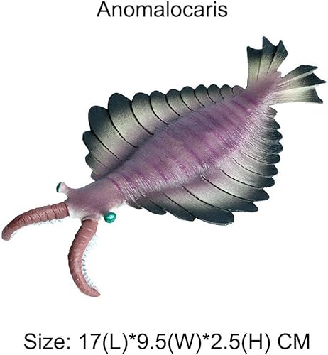 Miniatura 2 de Flormoon - Figuras de animales de 5 piezas realistas de plástico cámbrico antiguo conjunto incluye anomalocaris, opabinia, etc. Proyecto de ciencia,