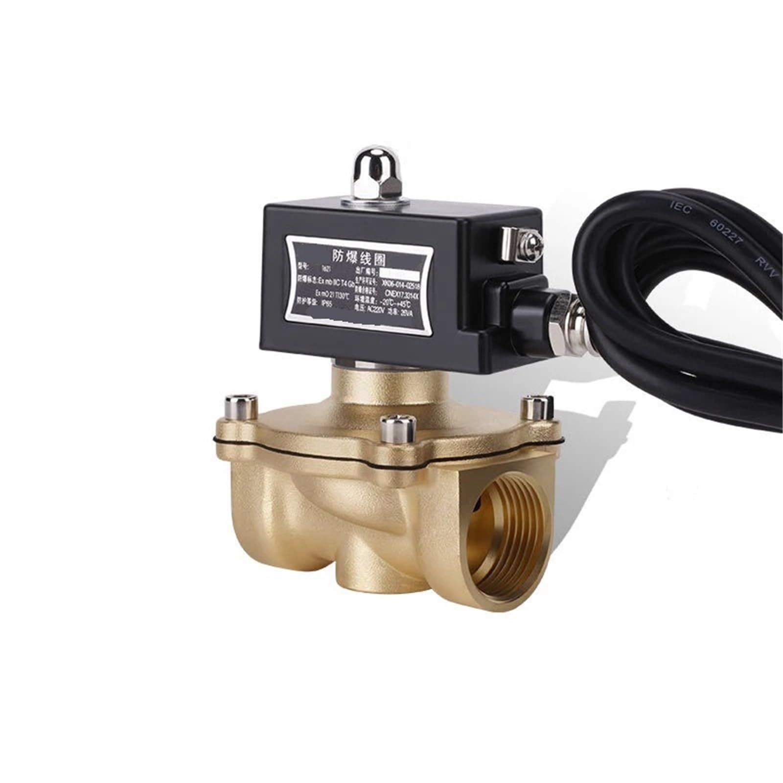 DN25 Brass Normally Closed Explosion Solenoid Valve for Gas Natural Gas(240VAC)