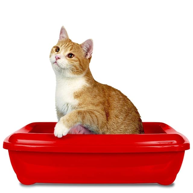 Foto 4 de 8 de Simple Solution Eliminador de olores de Arena para Gatos, 500 ml