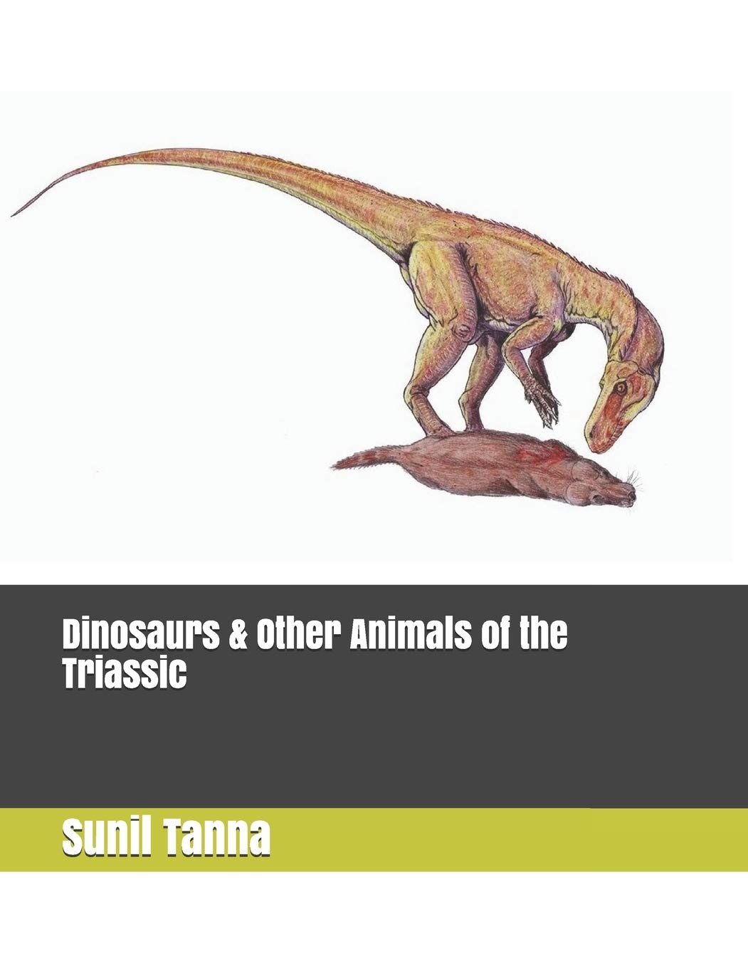 Dinosaurs & Other Animals of the Triassic: 2 (The History of Life)