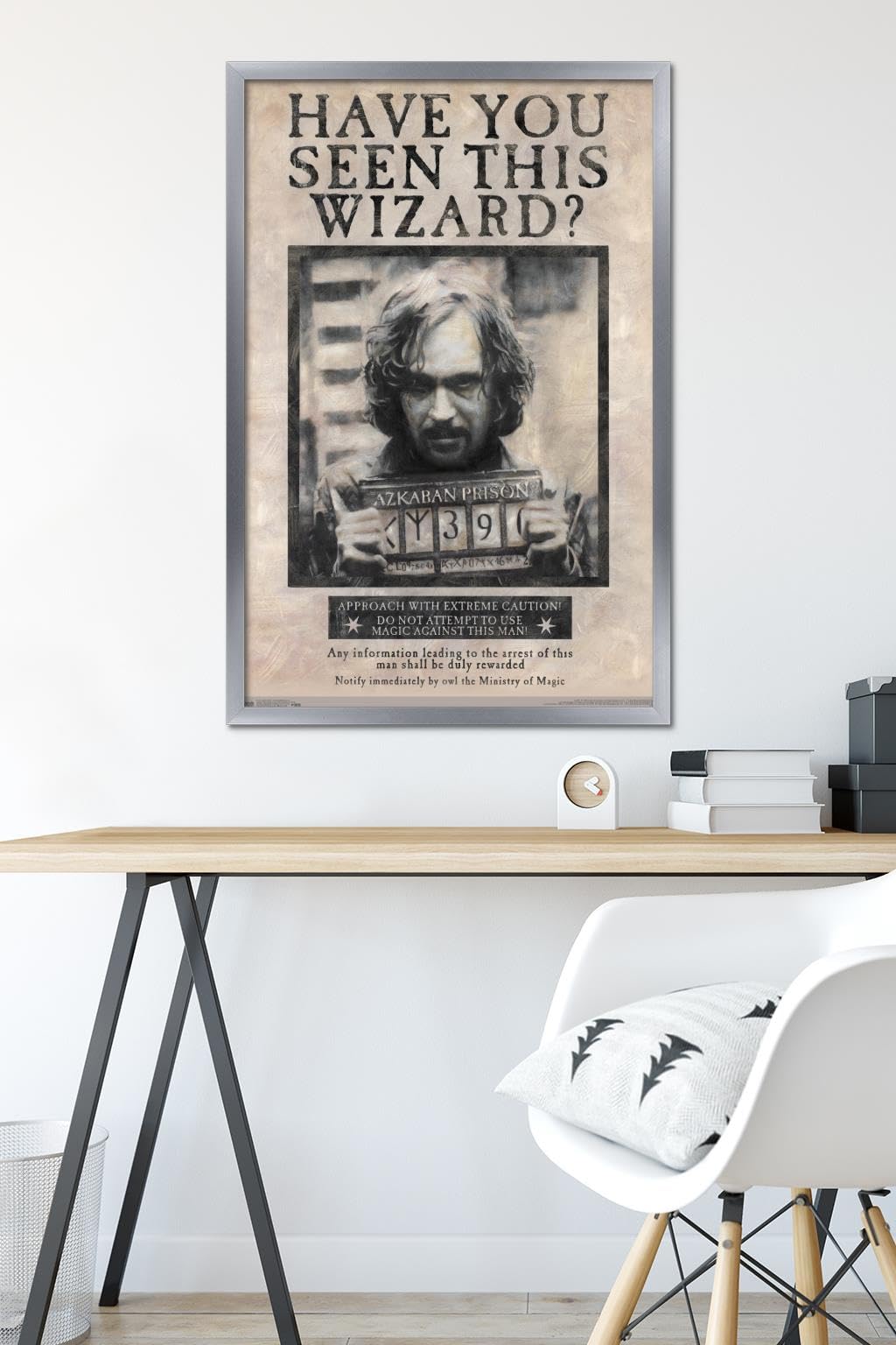 Amazon.com: Trends International The Wizarding World: Harry Potter