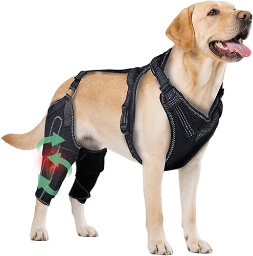 Rodillera para perro para pierna trasera desgarrada del ACL, soporte para piernas traseras de perros, articulaciones cálidas y alivia el dolor en
