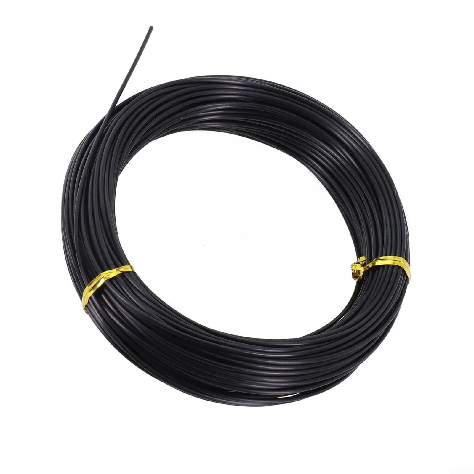 Cuerda de pesca de línea larga de monofilamento, línea de pesca submarina de nailon de 30 m, líder de pesca de barco de alta resistencia para pesca de pesca en aguas profundas, negro, 1.6 mm