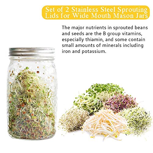 Stainless Steel Sprouting Lids For Wide Mouth Mason Jars - Strainer Lid For Canning Jars And Seed Sprouting Screen #TOP2