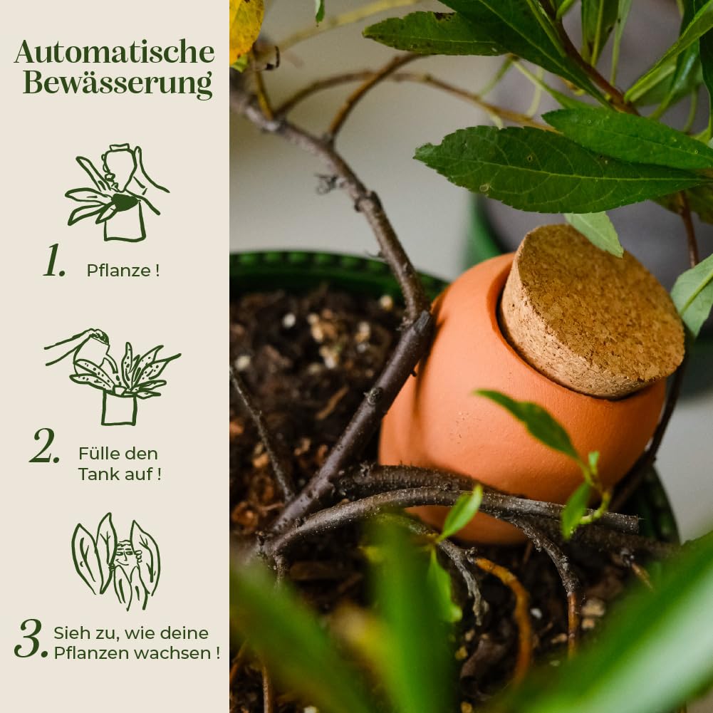 Pepin | 3 x Mini Ollas Terrakotta zum Pflanzen | Automatische und umweltfreundliche Bewässerung Für Zimmerpflanzen | Natürliches Bewässerungssystem | Mini OYAS Terracotta – 12 cl