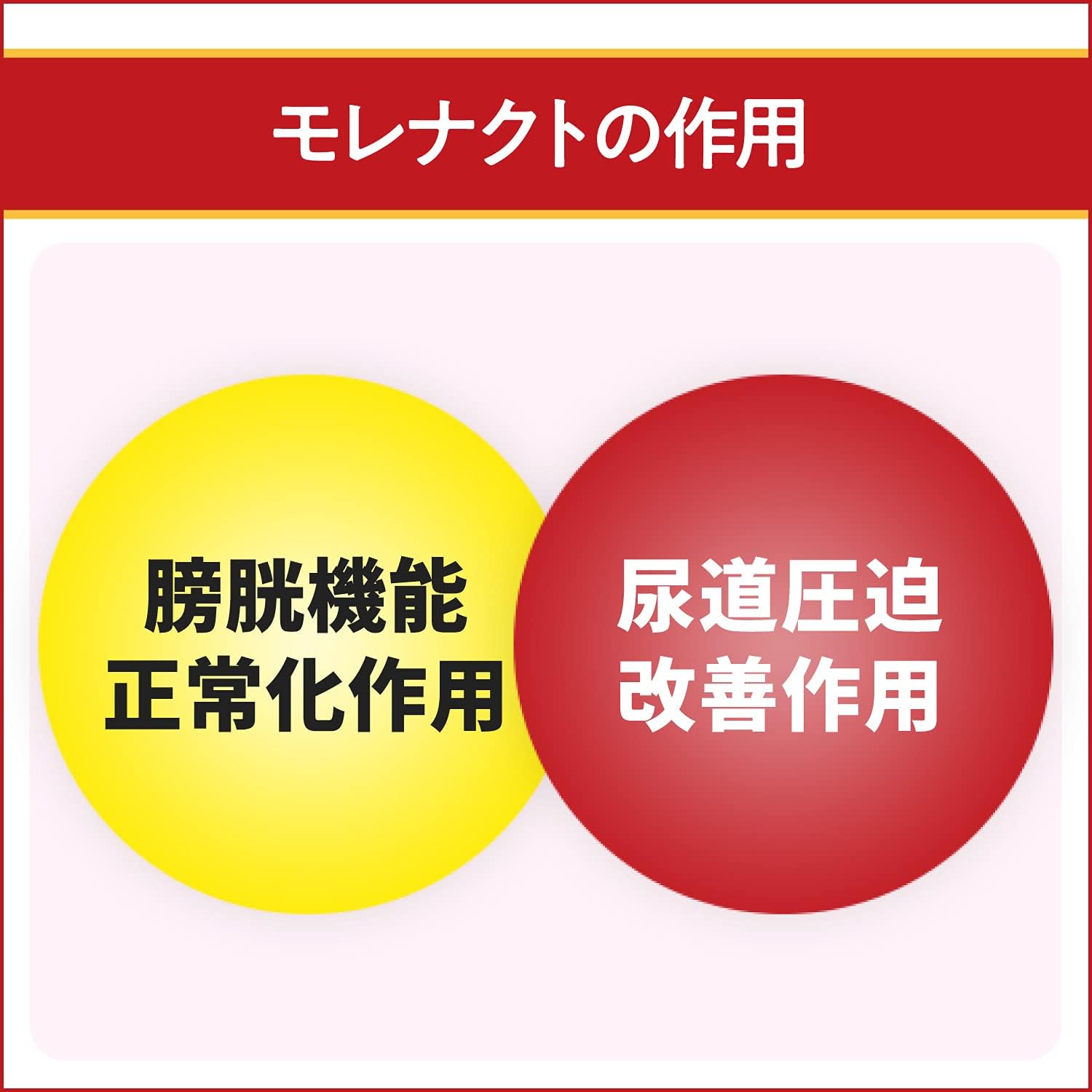 枚数限定 クーポン発行中 送料無料 第2類医薬品 6個セット