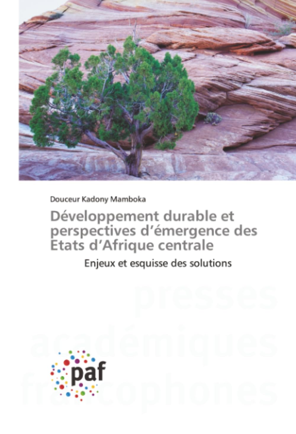Développement durable et perspectives d’émergence des Etats d’Afrique centrale: Enjeux et esquisse des solutions