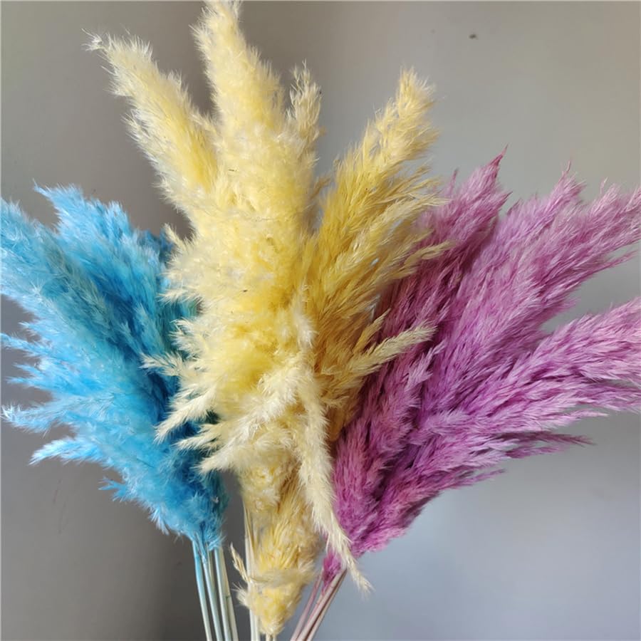 Ramo de Pasto Pampas Natural Seco 45 cm 4-5 piezas miniatura 4