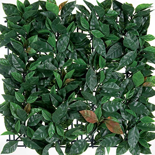 TENAX Siepe Sintetica a Pannelli per Parete Giardino Verticale, Tipo Fotinia, Divy 3D Panel Photinia 0,50 x 1 m, componibile per Decorazione e schermatura