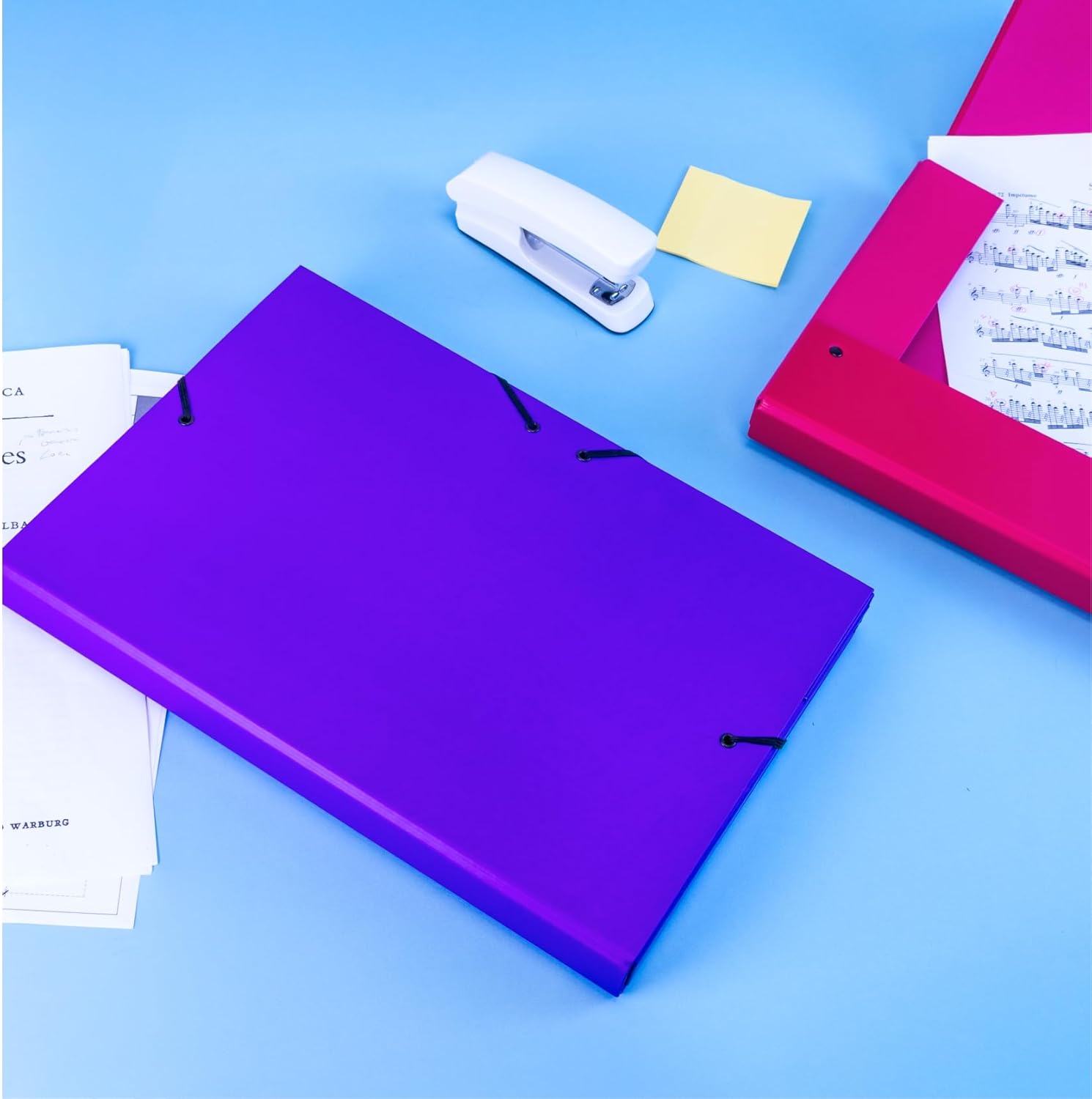 Raylu Paper A4 Matte Project Folder with 5 cm Spine, Sturdy Cardboard Folder and Elastic Closure for School or Office Projects, File Folder Size 34 x 24 cm (Blue)