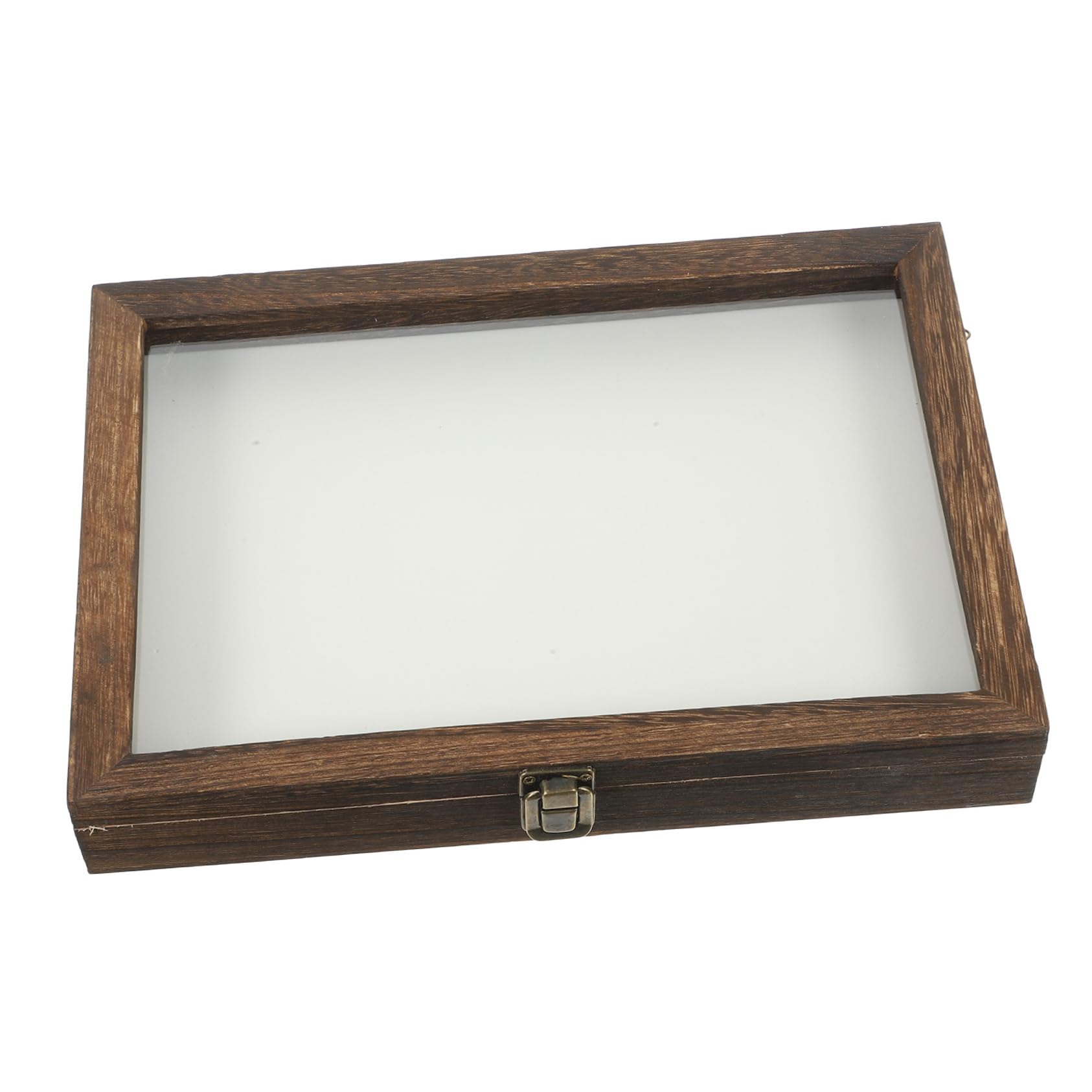 HOMOCONO 1 Set Flannel Wood Insect Specimen Display Holder Coffee Acrylic Display Plant Display Cases Wooden