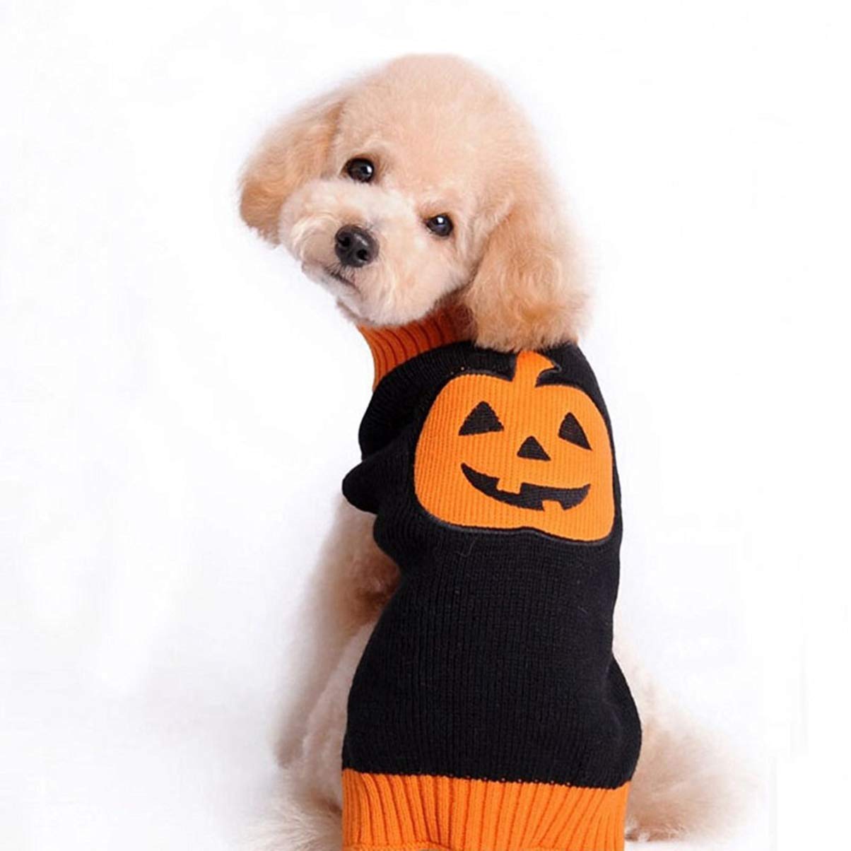 Mipcase Costume Cane Halloween 3 Pz Arredamento di Halloween Maglione per Cani da Compagnia Piccolo Maglione Cane Domestico Costume