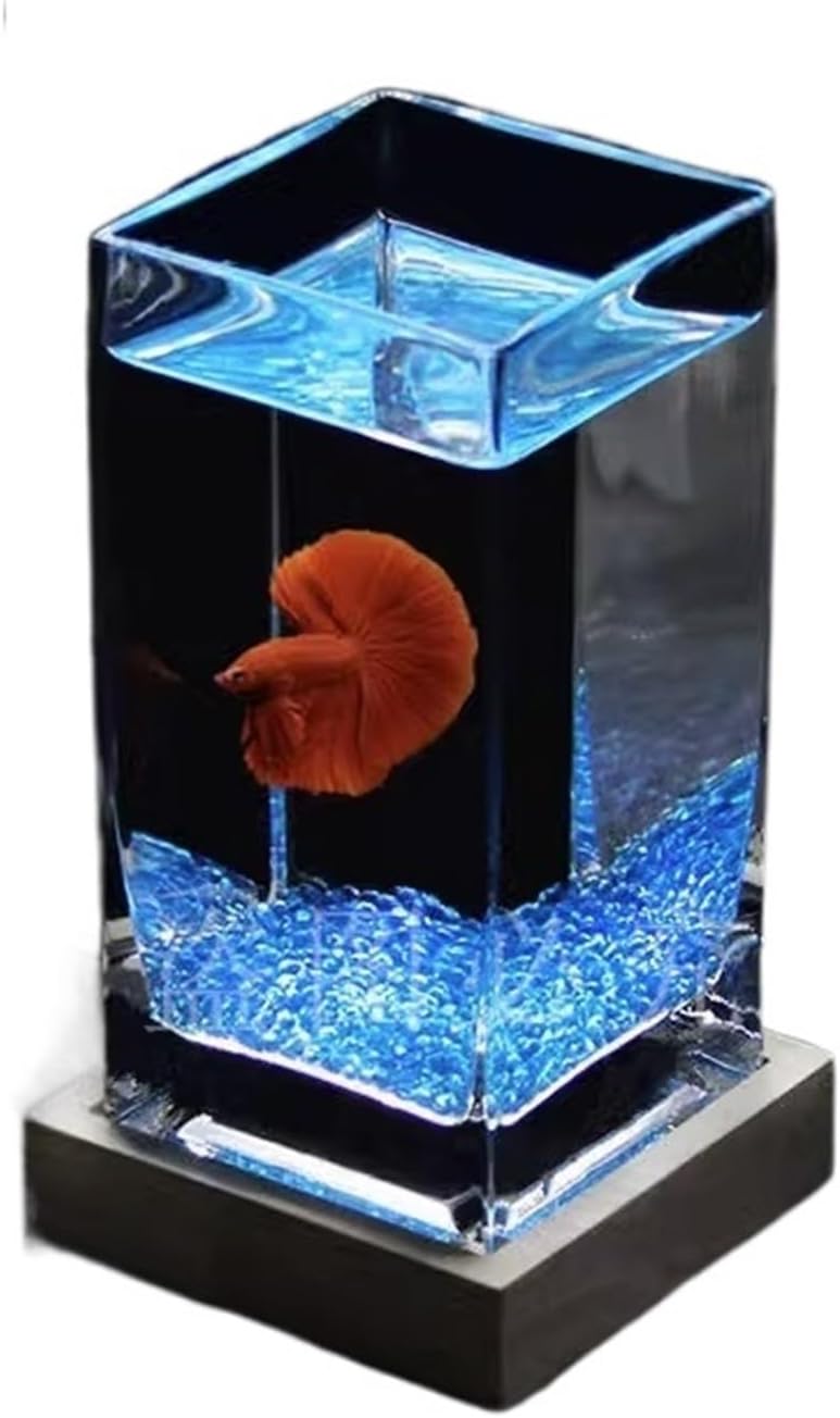 Fish Tank Fish Tank Square High Translucent Fighting Fish Tank with Wooden Base Tropical Fish Tank Thickened Glass Desktop Small Fish Tank Aquarium(Blue02)