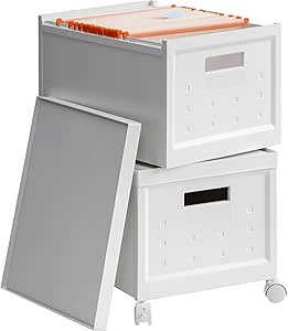 Amazon.com: LYNCOHOME Letter/Legal File Box with 20 file bags, 2 Pack ...