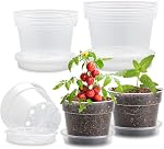 BTPLASTIK Clear Nursery Pots with Drainage Holes (Clear, 8 Inch-7P)