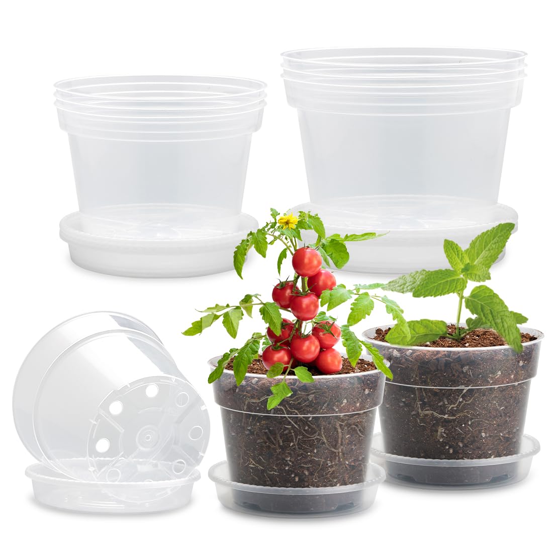 9 Pack 8/7/6 Inch Clear Nursery Pots for Plants with Saucer, Transparent Plastic Plant Pots with Drainage Holes, Sturdy Seedling Starter Pot, Garden Planter Pot for Succulents Flowers Herb Vegetables