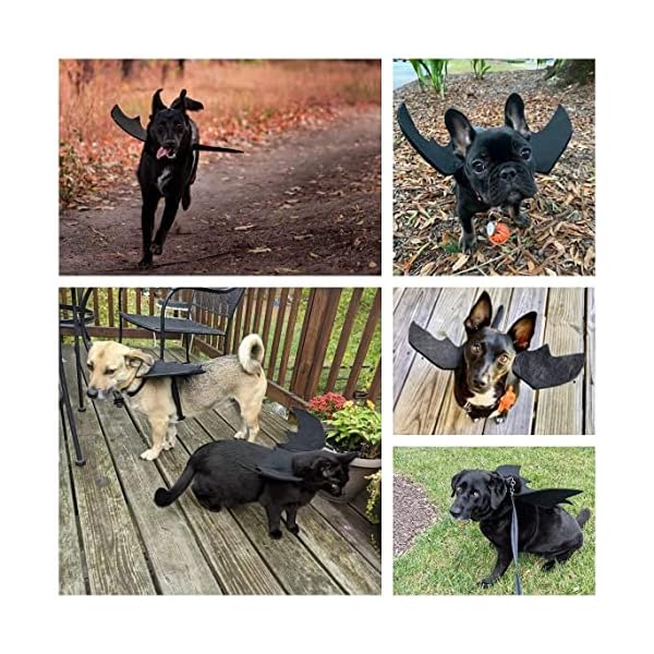 Bowtus halloween dog bat wings pet costume with pumpkin bells for halloween party decorations, cute puppy dog and cat collar bat wings cosplay party dress up funny cool appare(x-large) - image 6