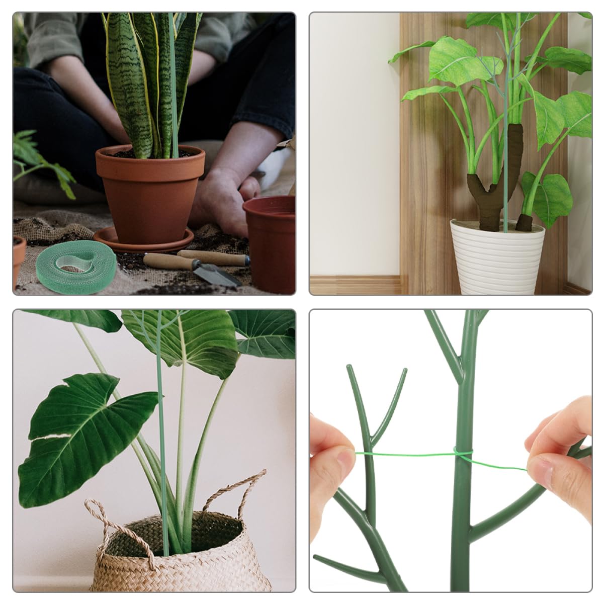 Sosoport 2 Ensembles Support pour Plantes D'extérieur Poteaux Treillis Végétal Treillis D'extérieur Bordure De Jardin Grand Support pour Plantes Plastique Green 5 Pièces * 2