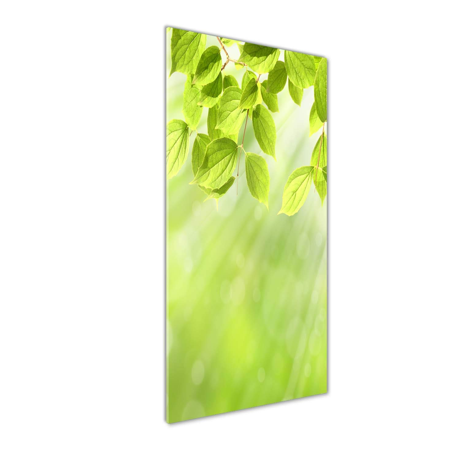 Image sur verre acrylique Tulup 50x125 cm : fini les cadres lourds et fragiles