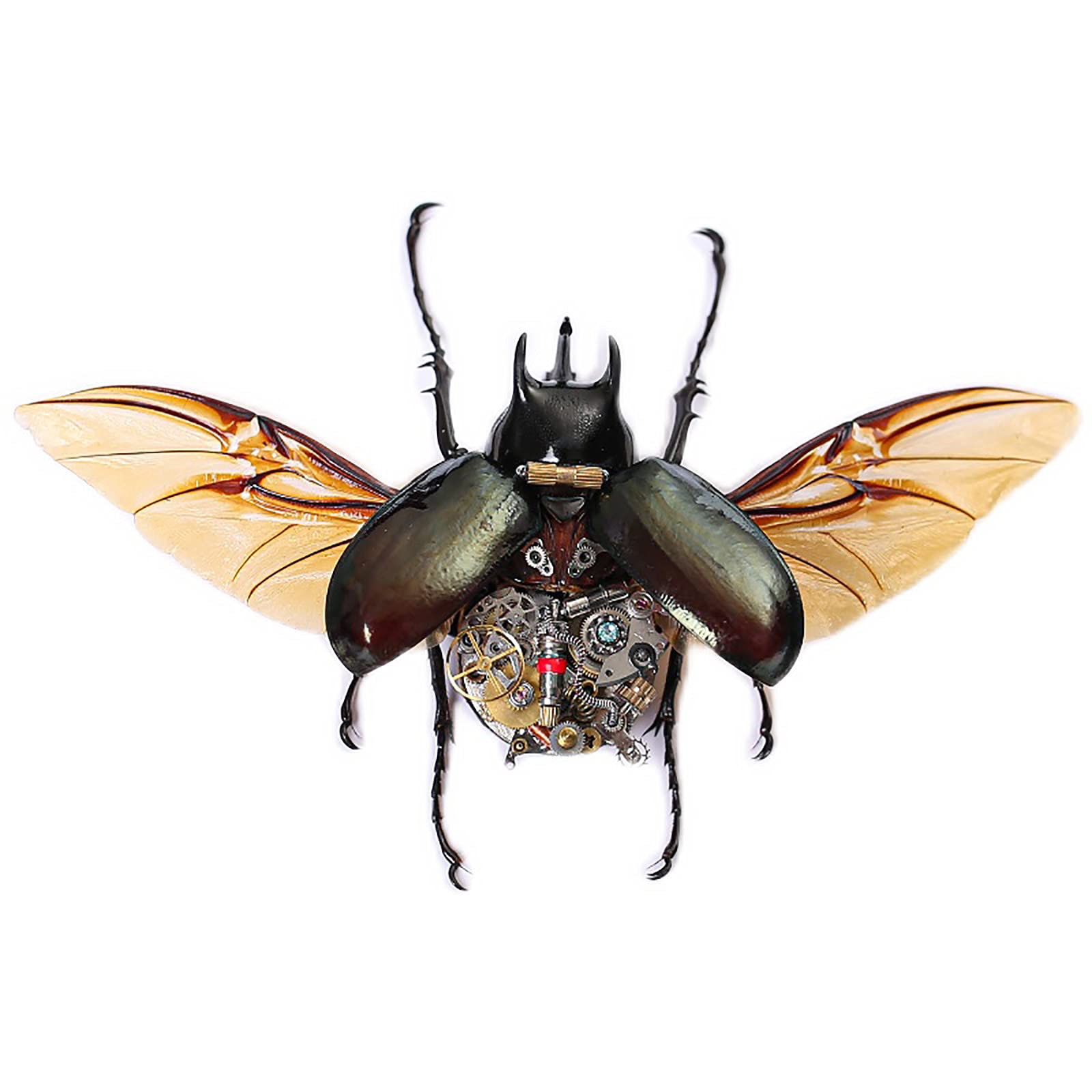 Steam Insect Punk Mechanical Specimen Model, Handmade Wooden Bug Box Picture Frame for Home Decorate Ornament Collectibles