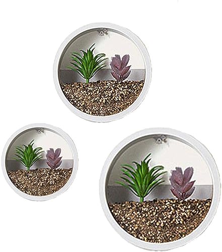 Miniatura 1 de Maceta redonda moderna de pared, paquete de 3 macetas colgantes de pared de 7911 pulgadas, soporte vertical para plantas de pared, decoración