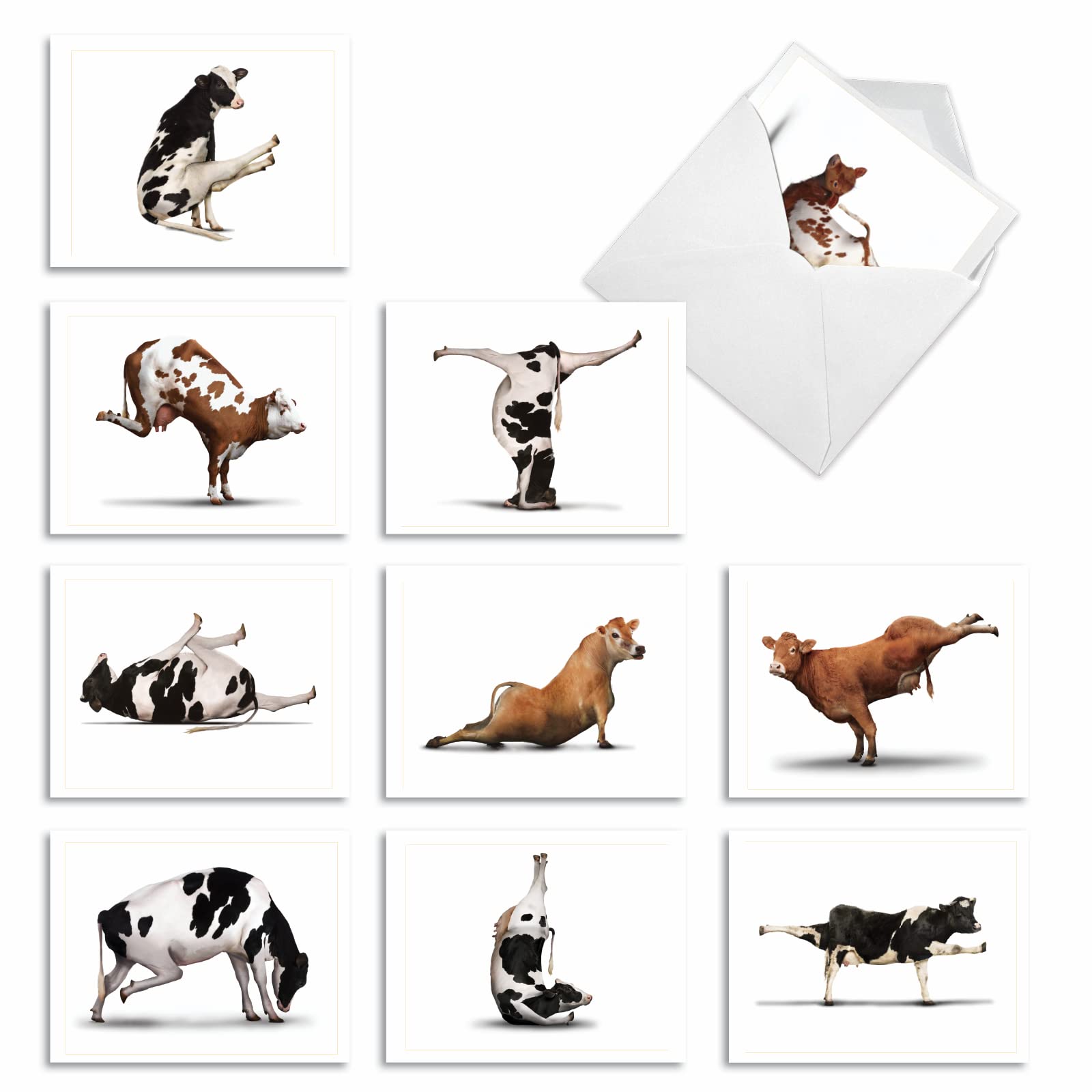 The Best Card Company - 10 Blank Yoga Note Cards (4x 5.12 Inch) - Boxed Notecards with Envelopes, Cute Animal Cards, Zen Assortment - Bovine Nirvana M6545OCB