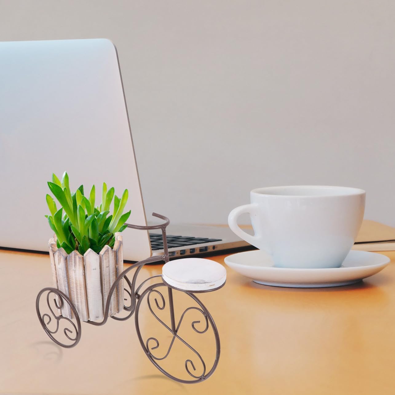 Bike Plant Stand Rustic Iron Flower Pot Holder with Tricycle Design for Indoor and Outdoor Decor Stylish Flower Display Rack for Succulents and Cacti Metal Frame