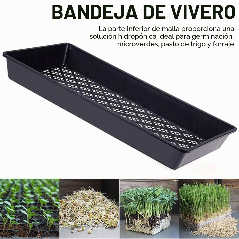 Bandejas de cultivo de plantas, 2 bandejas de inicio de propagación para plantas con agujeros de drenaje, parte inferior de malla para germinación de plantas