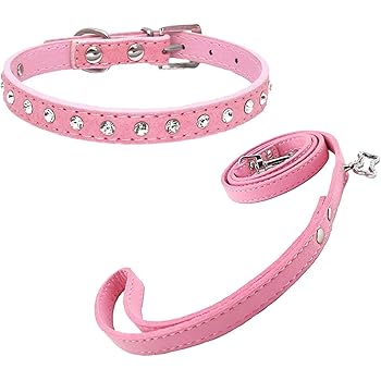 puppy collar and lead set