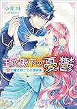 王女殿下の憂鬱 ドＳな魔法騎士と花嫁修業 (一迅社文庫アイリス)