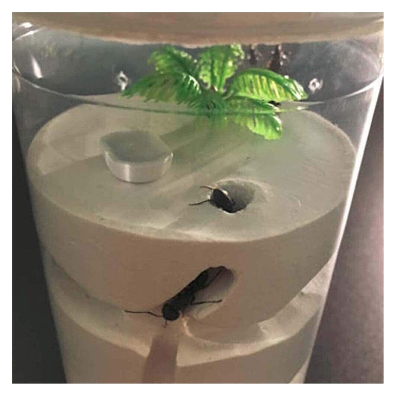 Acryl-Ameisen-Gips-Nest, Ameisenfarm-Schloss, natürliches Insekten-Ökologie-Box-Nest zum Lernen von Ameisen. Beobachten Sie Ameisen, wie sie ihre eigenen Ameisenhaus-Tunnel Graben