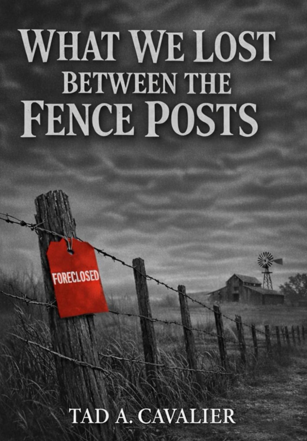 What We Lost Between The Fence Posts